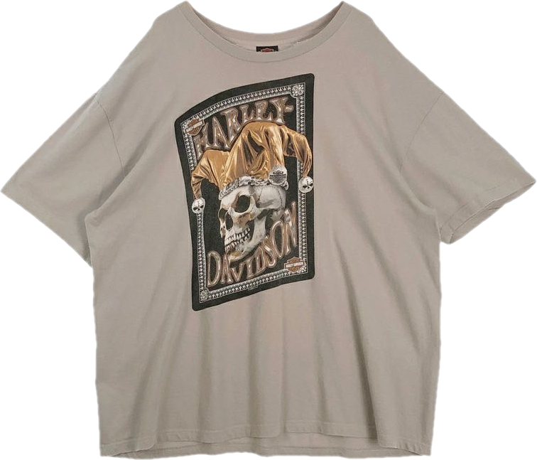 HARLEY-DAVIDSONビッグサイズプリントTシャツ