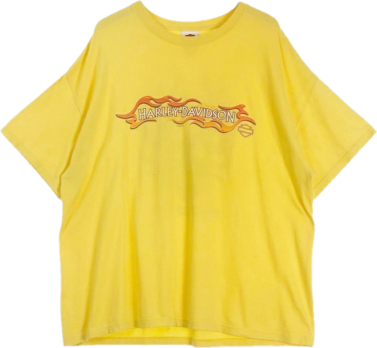 USA製HARLEY-DAVIDSONプリントTシャツ