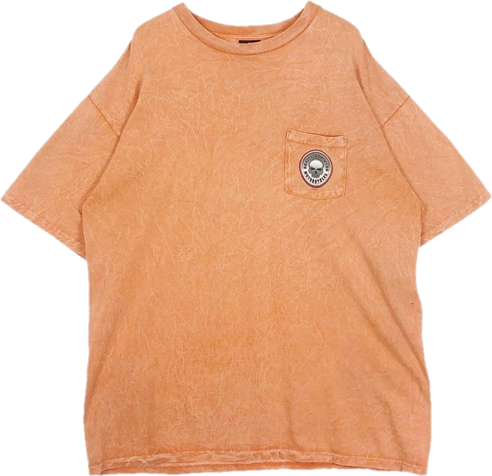 USA製HARLEY-DAVIDSON後染めプリントTシャツ