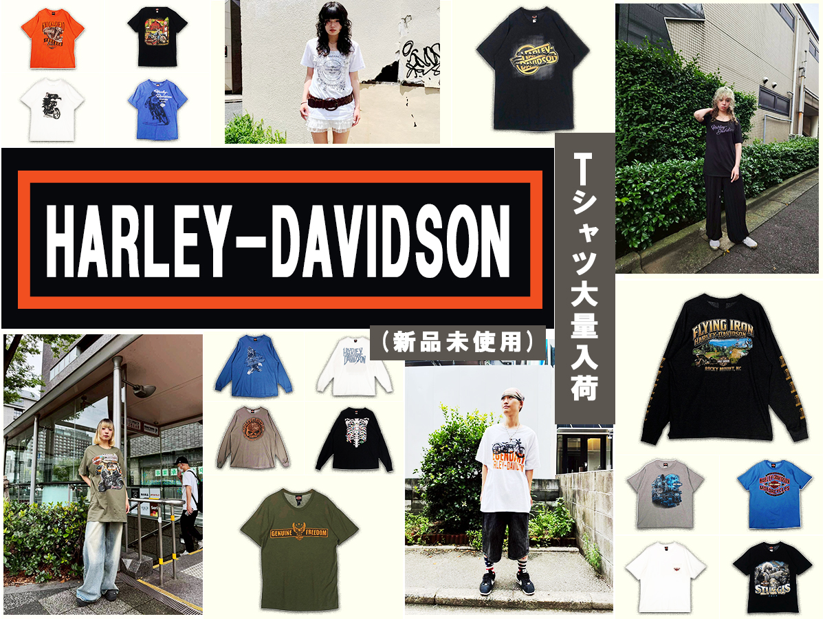 カーハート入荷