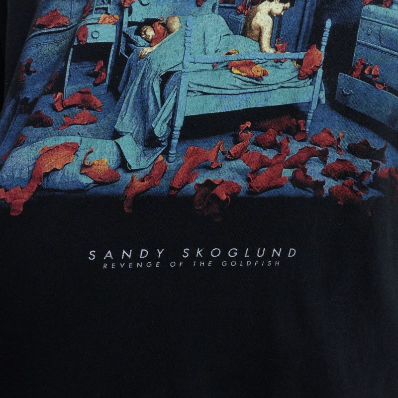 古着 90s ＳＡＮＤＹ ＳＫＯＧＬＵＮＤ リベンジ オブ ザゴールド