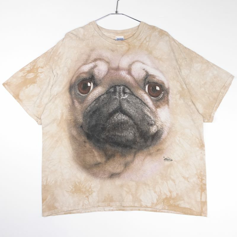古着のギルダンイヌプリント Tシャツ