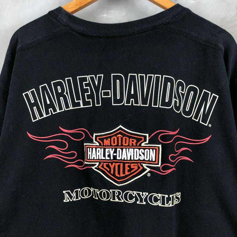 古着 HARLEY DAVIDSON ファイヤー 刺繍ロゴ ロンT