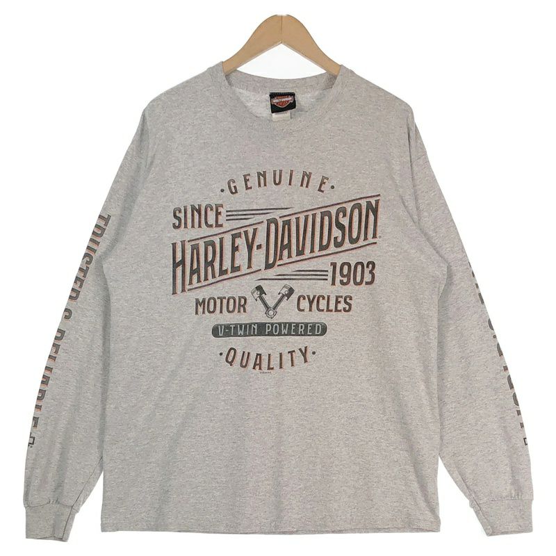 ハーレーダビッドソン　ロンT ビッグプリント 古着 HARLEY-DAVIDSON デカロゴ プリントロンT | Flamingo